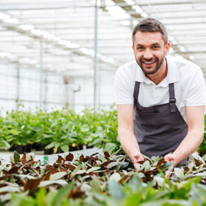 Horticulture Diploma