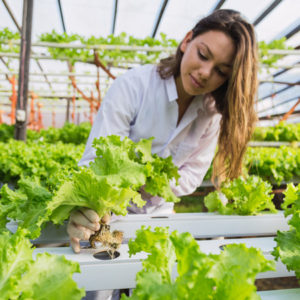 Hydroponics Gardening Online Course