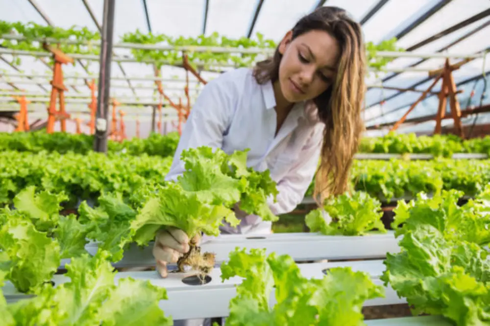 Hydroponics Gardening Online Course