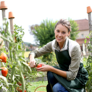 Kitchen Gardening