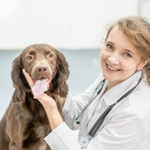 Veterinary Nursing