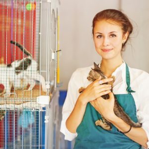 Animal Centre Assistant