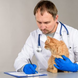 Animal Nutritionist
