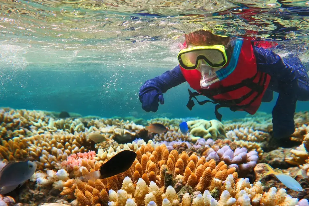 Marine Biology Course