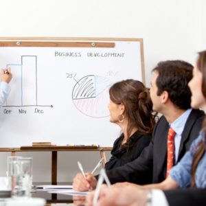 Business Development Consultant