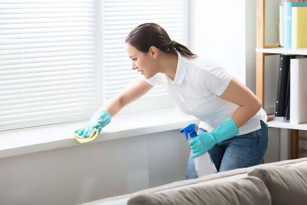 Cleaning: House-cleaning