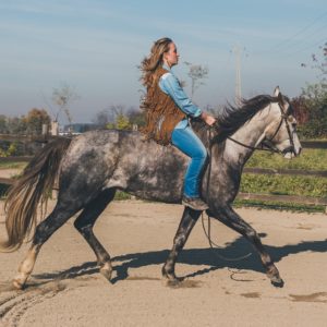 Horse Care and Horse Riding