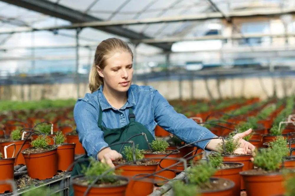 Horticulture