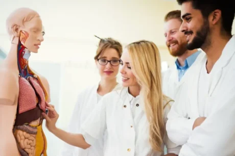 Level 3 Diploma in Anatomy and Physiology of Human Body