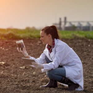 Online Geology Course