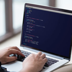 Node JS: API Development with Swagger