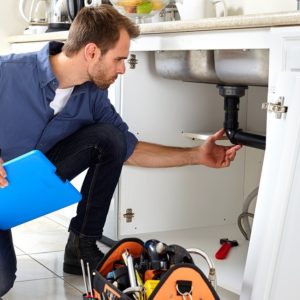 Professional Plumbing