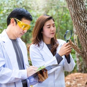 Conservation Diploma Course
