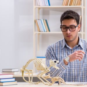 Zoology & Animal Science