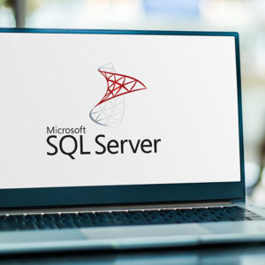 SQL Server : Basic Microsoft SQL Server