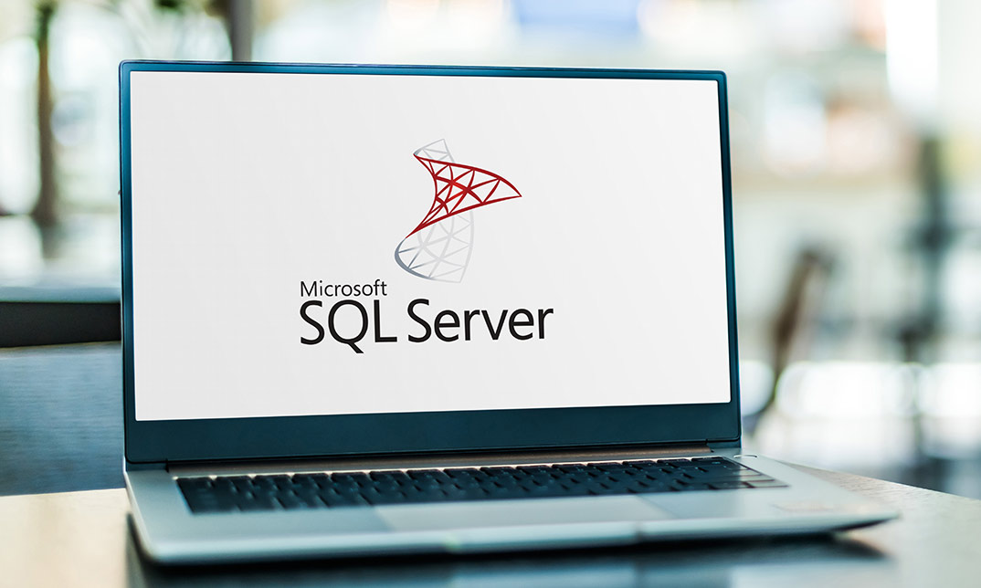 SQL Server : Basic Microsoft SQL Server