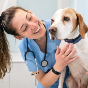 Dog Health Care