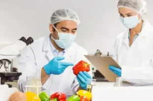 Food Safety Bundle - Food Safety, Food Allergens & HACCP Courses