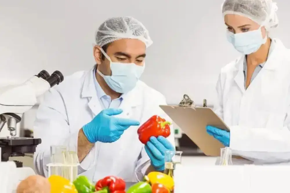 Food Safety Bundle - Food Safety, Food Allergens & HACCP Courses