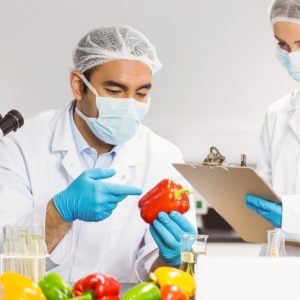 Food Safety Bundle - Food Safety, Food Allergens & HACCP Courses