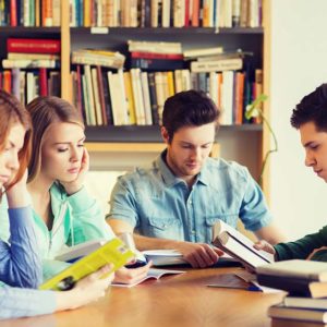 Library and Information Science diploma