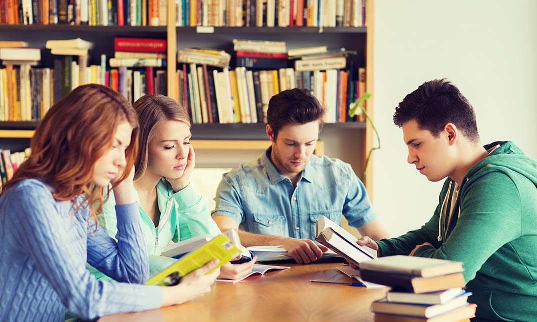 Library and Information Science diploma