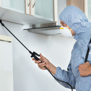 Pest Control