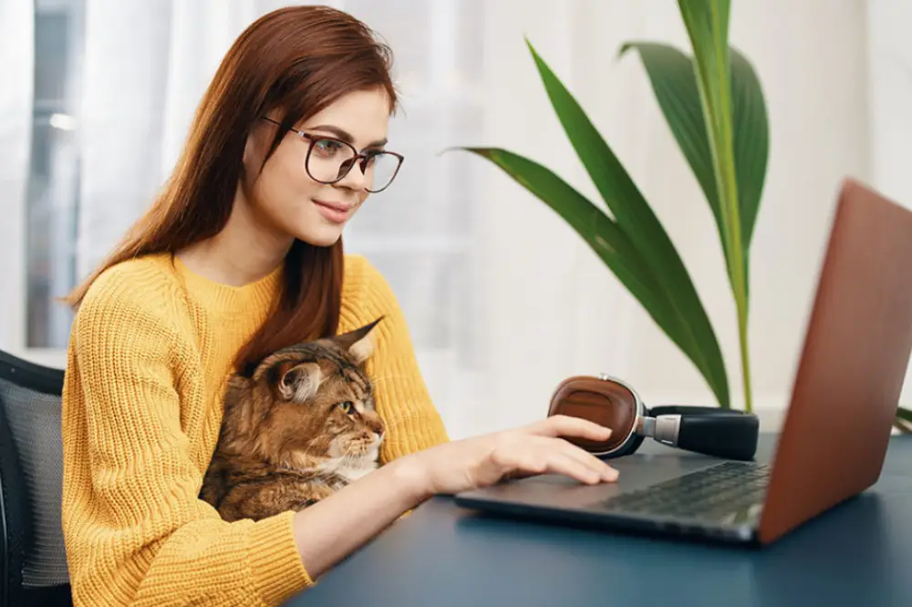 Working from Home Essentials