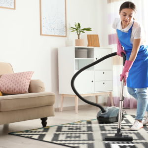 Carpet Cleaner