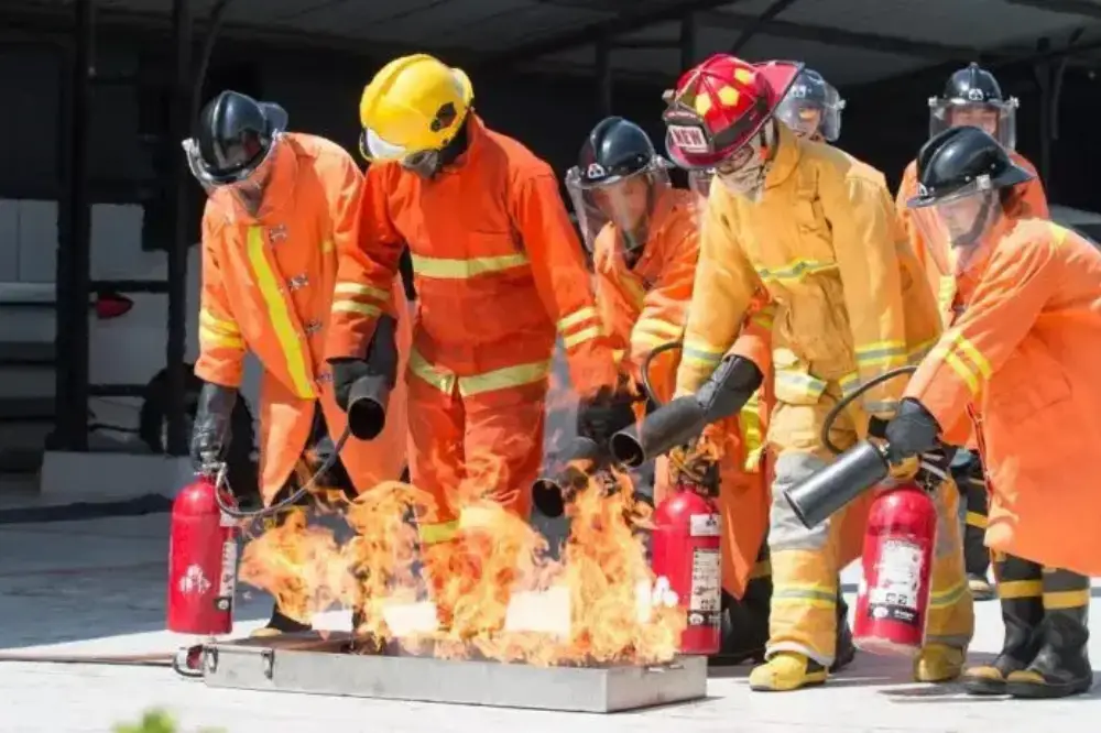 Fire Safety Surveyor