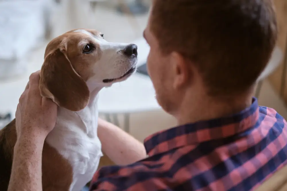 Animal Care and Psychology Diploma