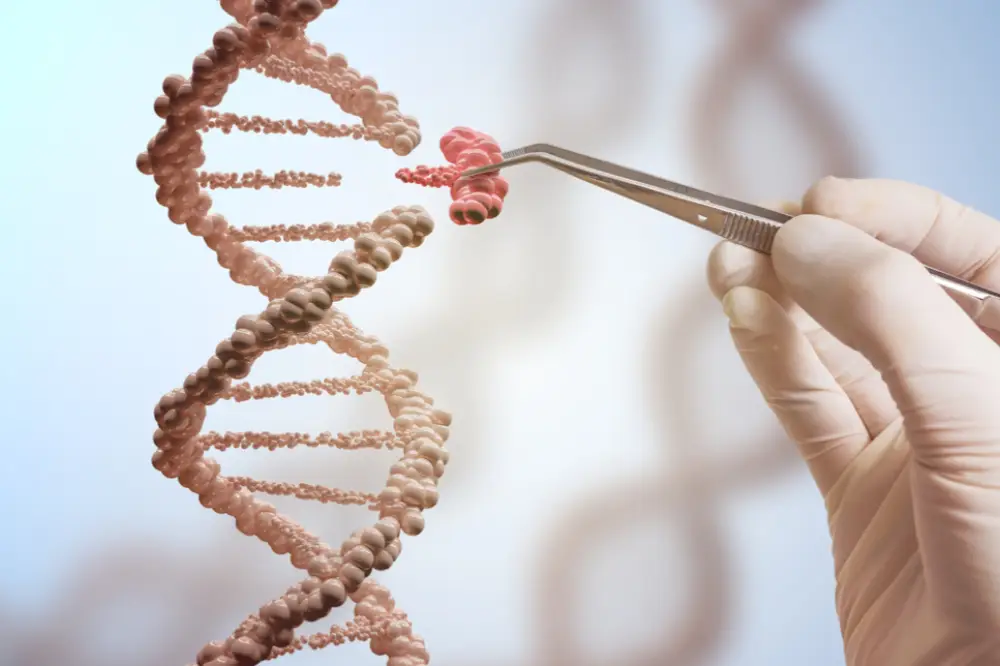 Genetics