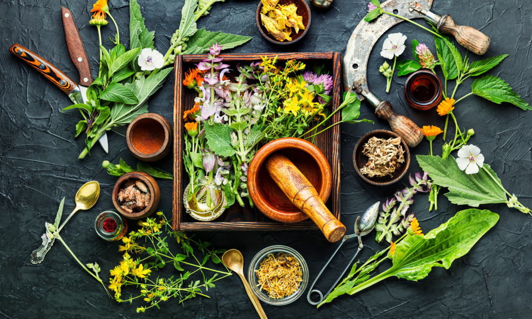 https://www.janets.org.uk/courses/herbalism-herbs-and-foods-for-long-term-health/