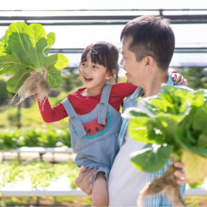 Build Your Own Home Hydroponic Farm