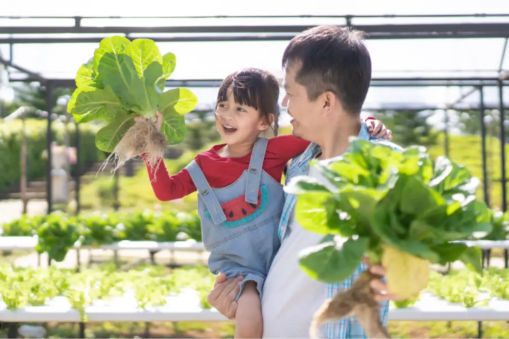 Build Your Own Home Hydroponic Farm