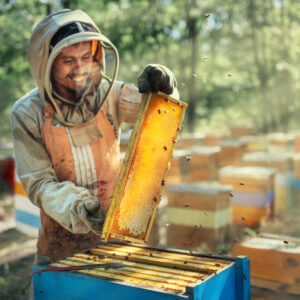 Diploma in Bee Farming