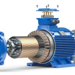 Energy Saving in Electric Motors