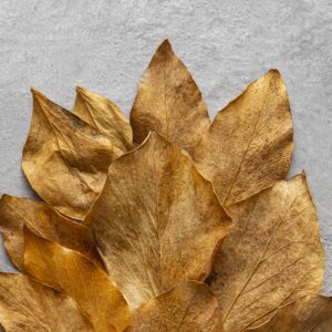 Creating a gold leaf surface