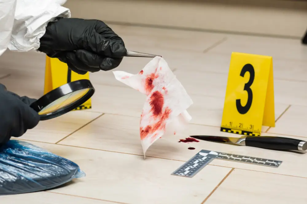 Forensic Psychology and Criminology Bundle