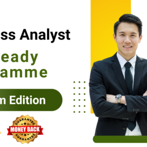 Business Analyst
