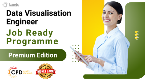 Data Visualisation Engineer