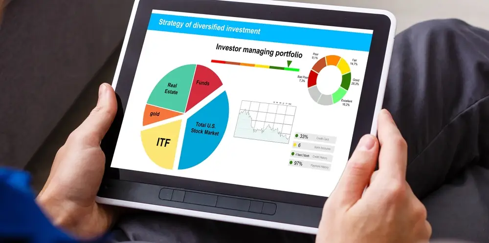Behavioural Finance in Portfolio Decision-Making