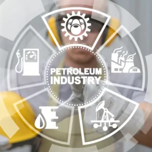 Petroleum Project Economics & Risk Analysis
