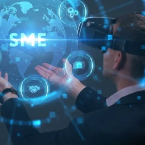 Pricing Strategies for SME Portfolios