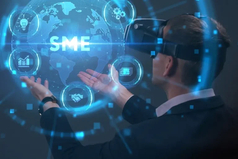 Pricing Strategies for SME Portfolios