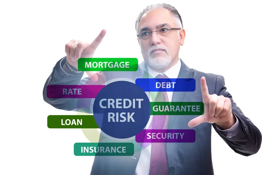 Credit Control Understanding Credit Risk Assessment