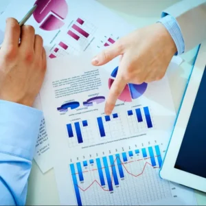 Financial Report Analysis