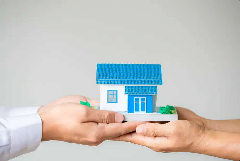Real Estate & Property Management