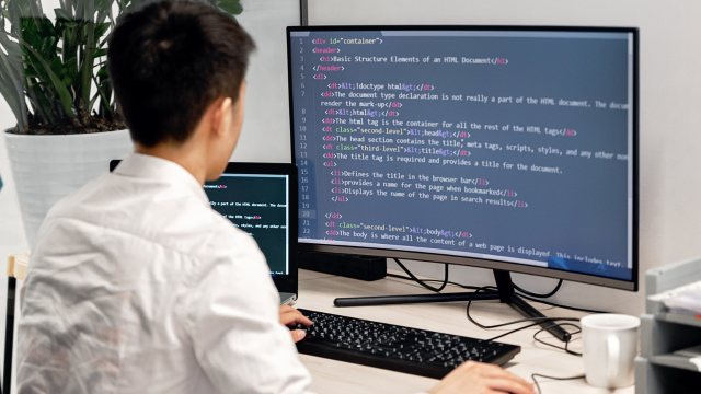 Zero to Full-Stack Web Developer Bundle